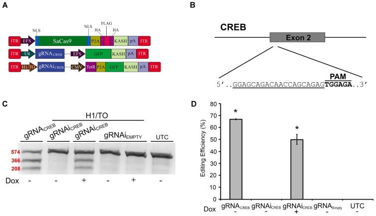 FIGURE 4