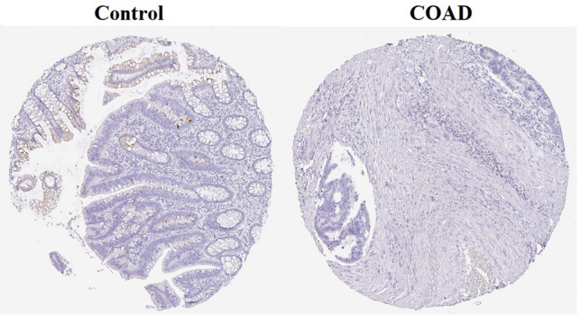 Fig. 14