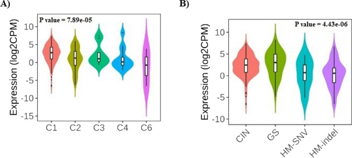 Fig. 10