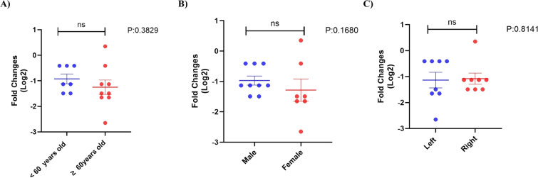 Fig. 16