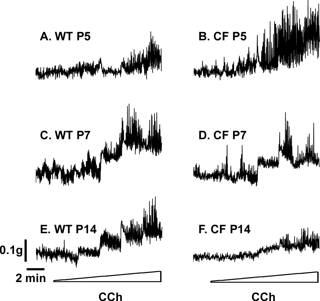 Fig.1