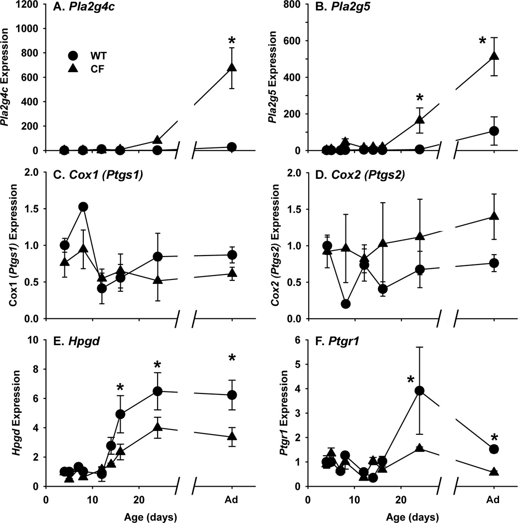 Fig.4