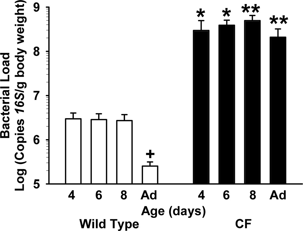 Fig.3