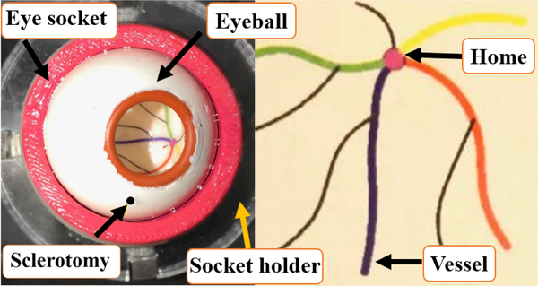 Fig. 4.