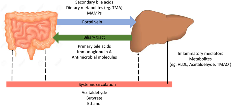 Figure 2: