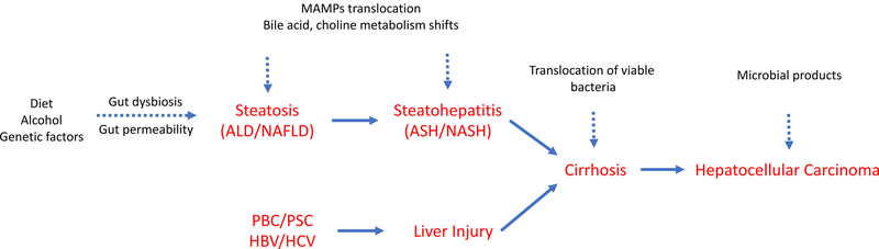 Figure 1: