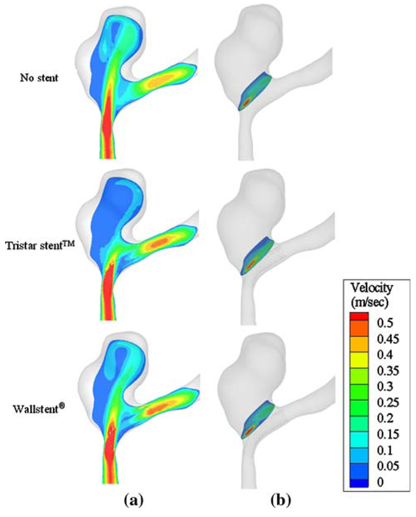 FIGURE 19