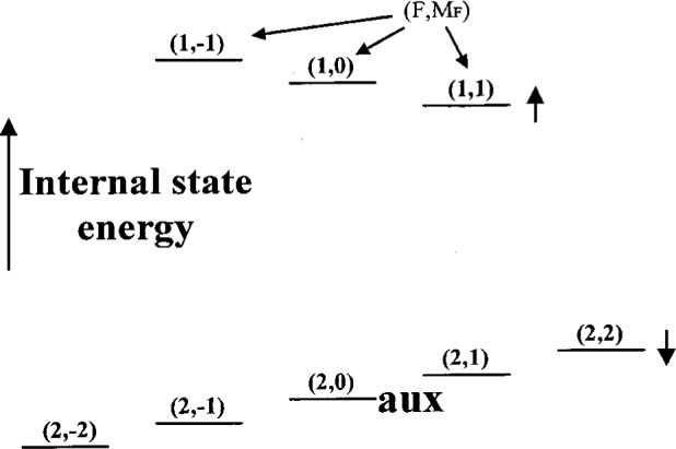 Fig. 5