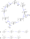 Scheme 1