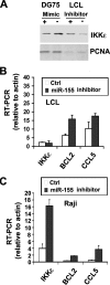 FIG. 5.