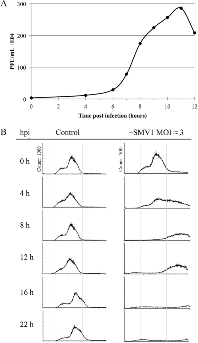 FIG 4