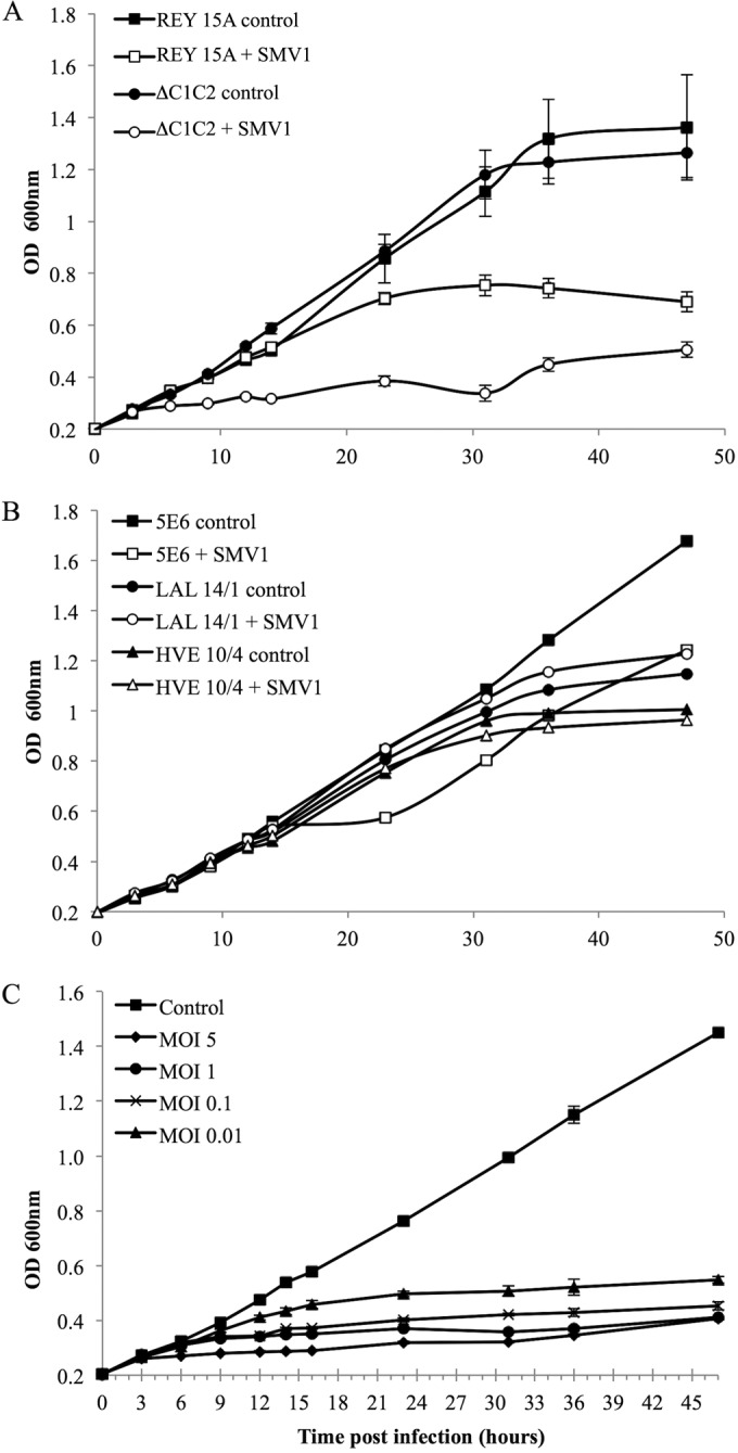 FIG 1