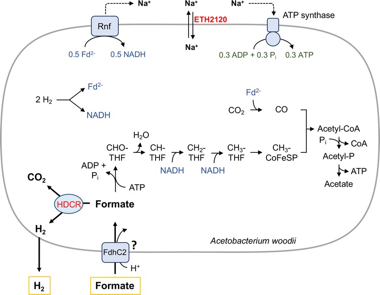 Fig. 7