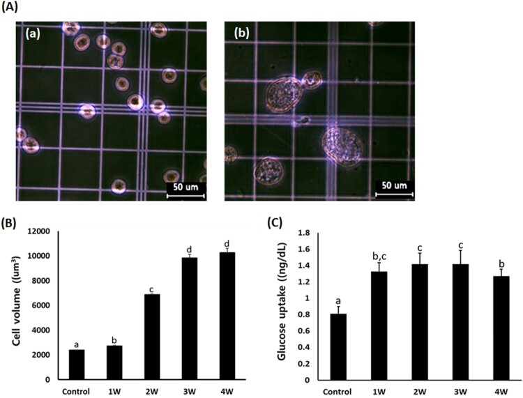 Figure 3.