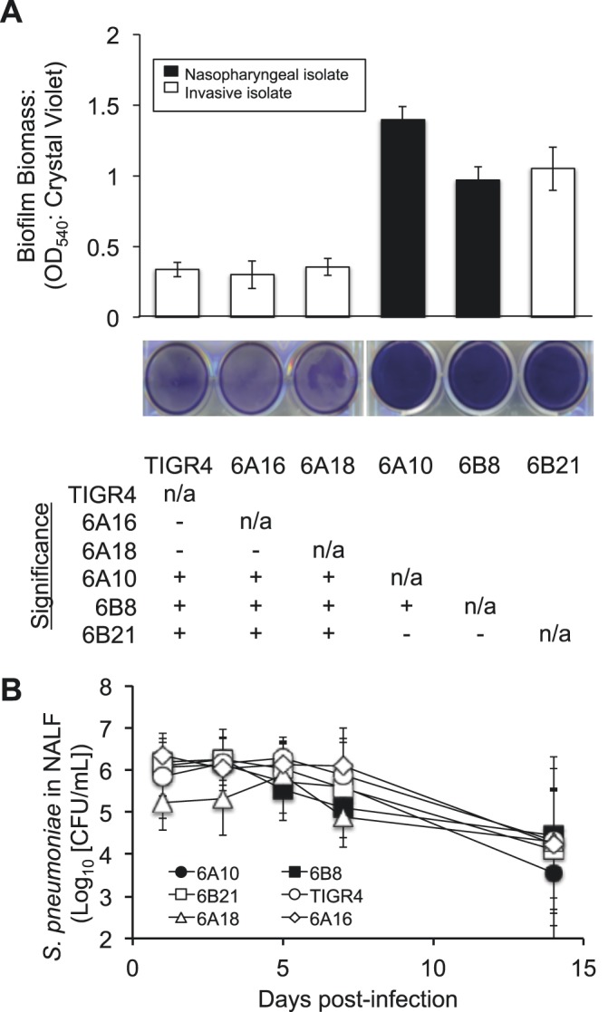 FIG 1 