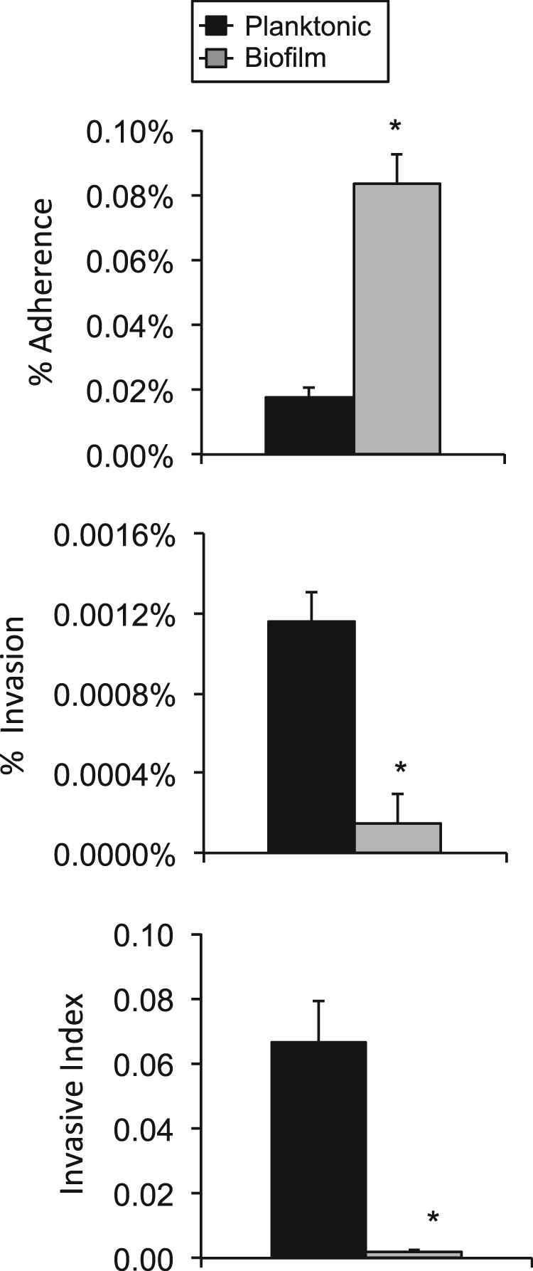 FIG 7 