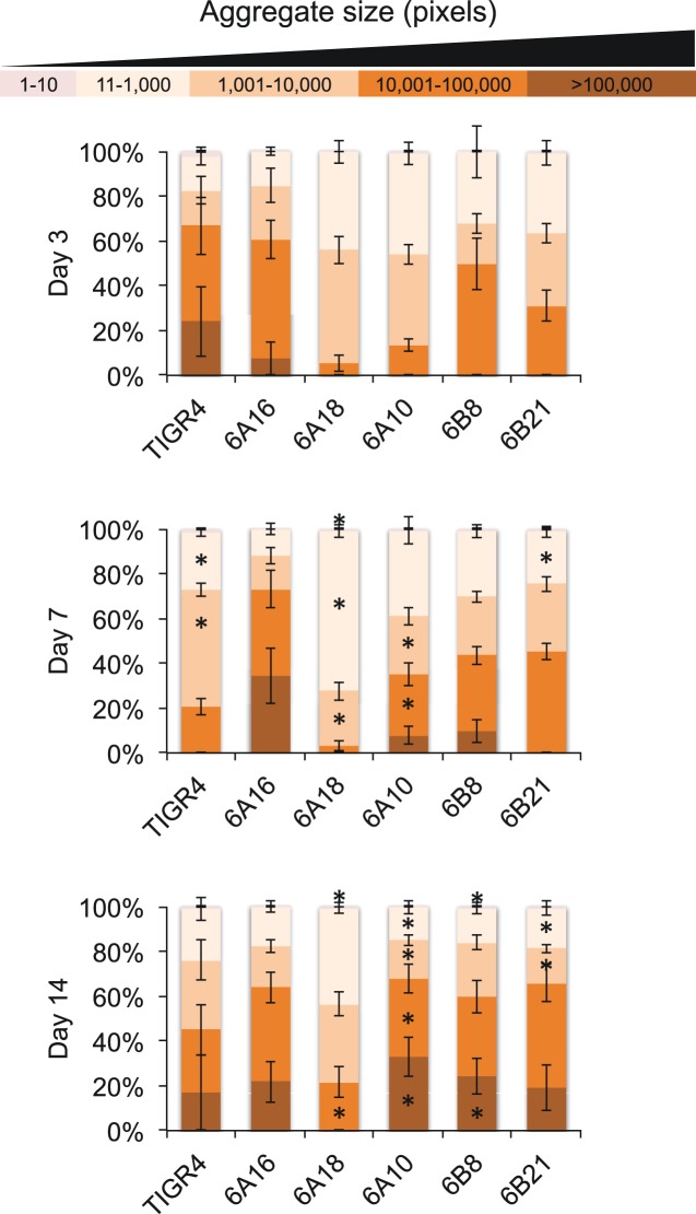 FIG 3 