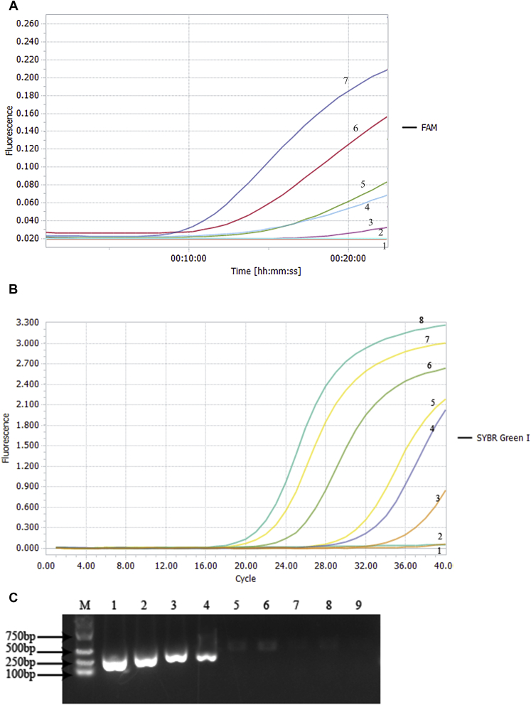 Figure 1