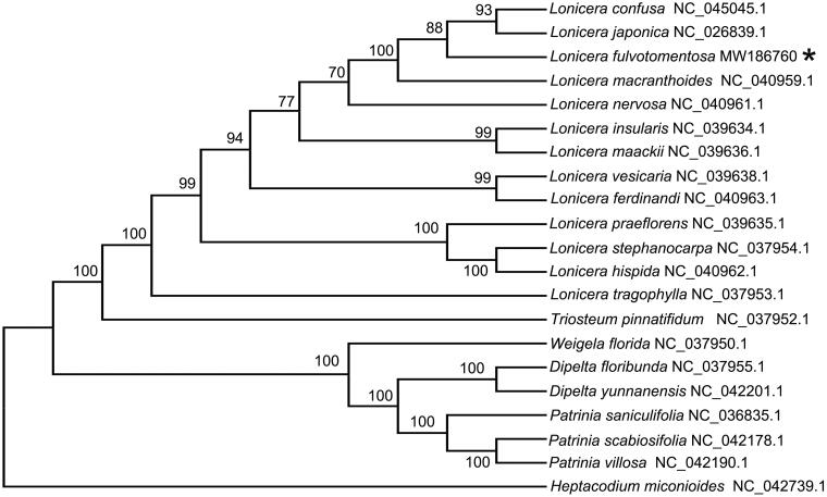 Figure 1.