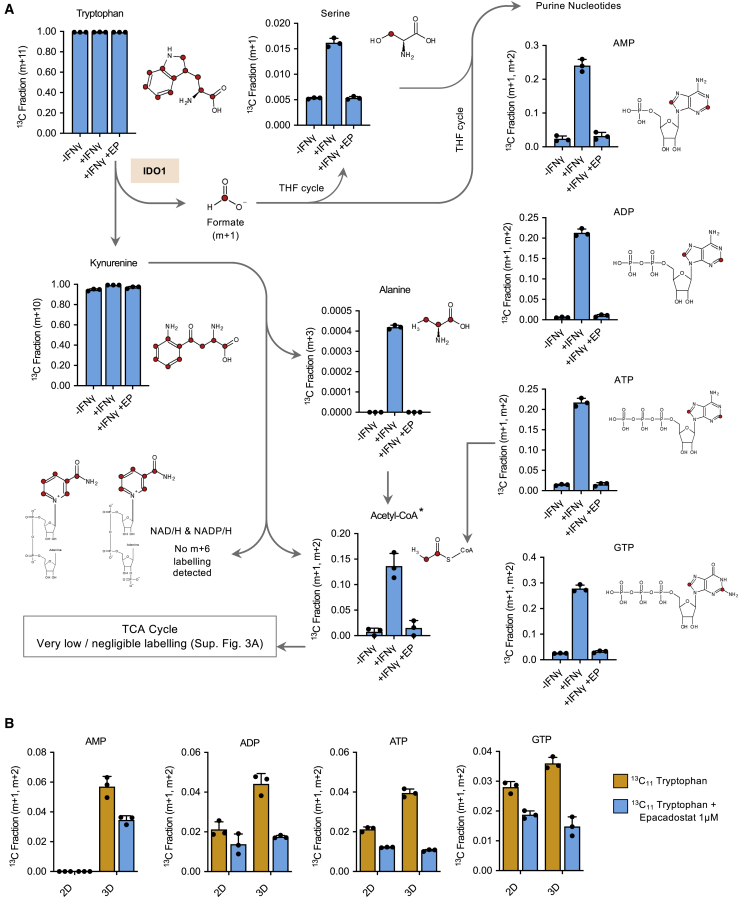 Figure 3