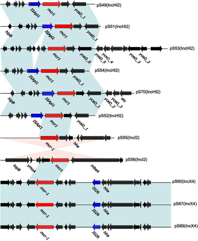 FIGURE 3