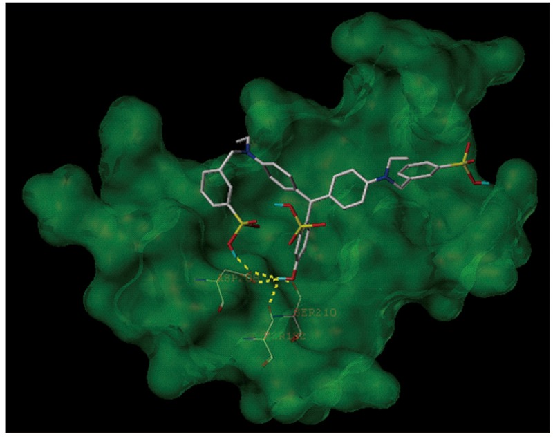 FIGURE 7