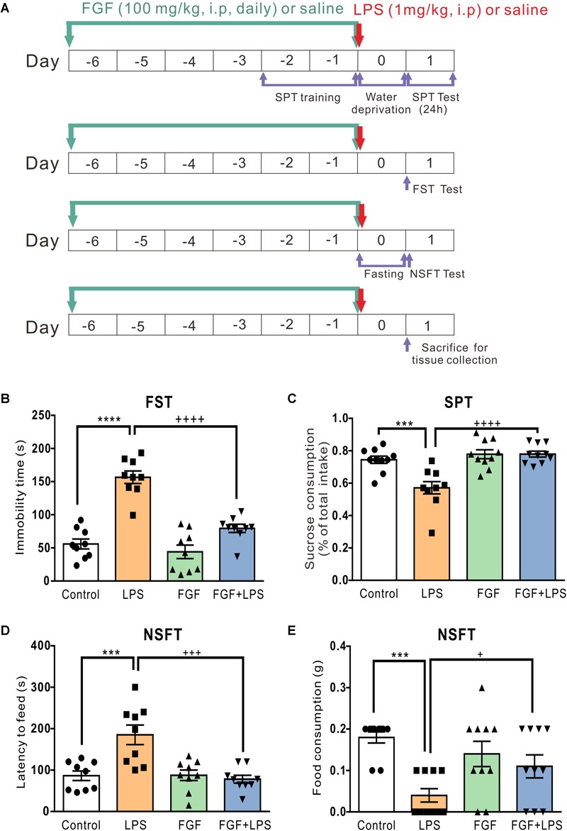 FIGURE 1