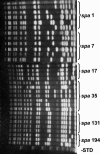 FIG. 1.