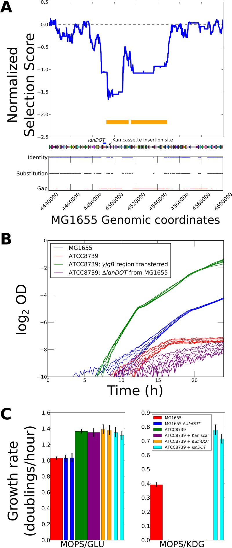 FIG 4