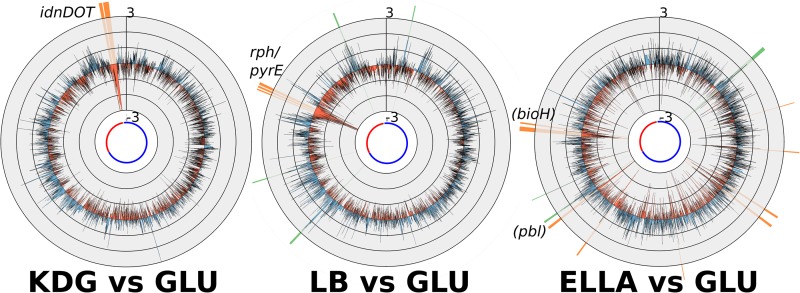 FIG 3