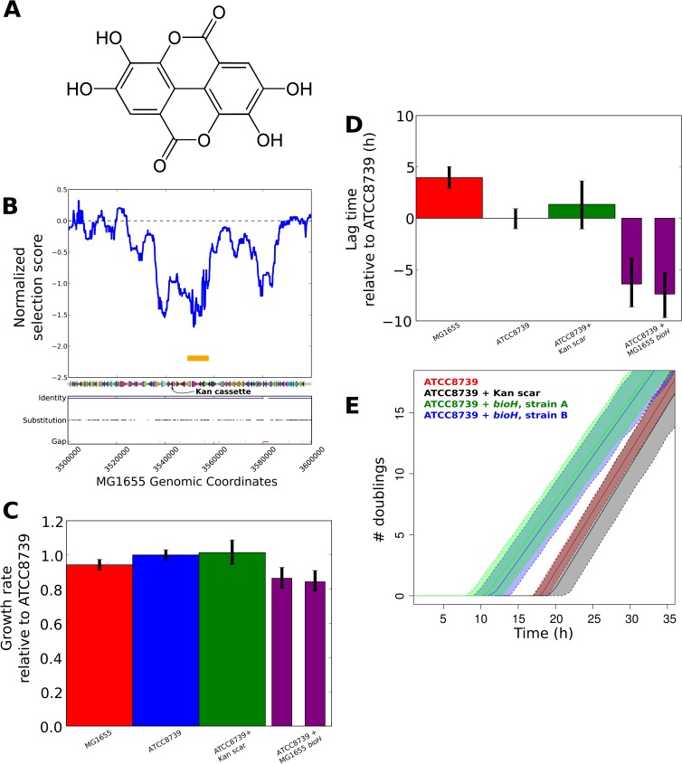 FIG 6