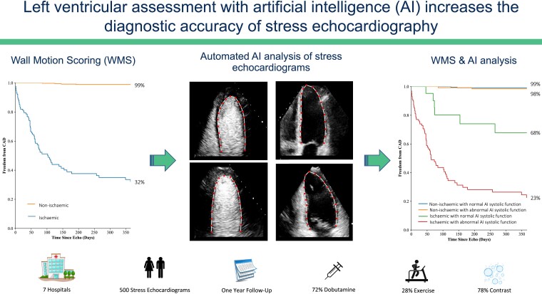 Graphical Abstract