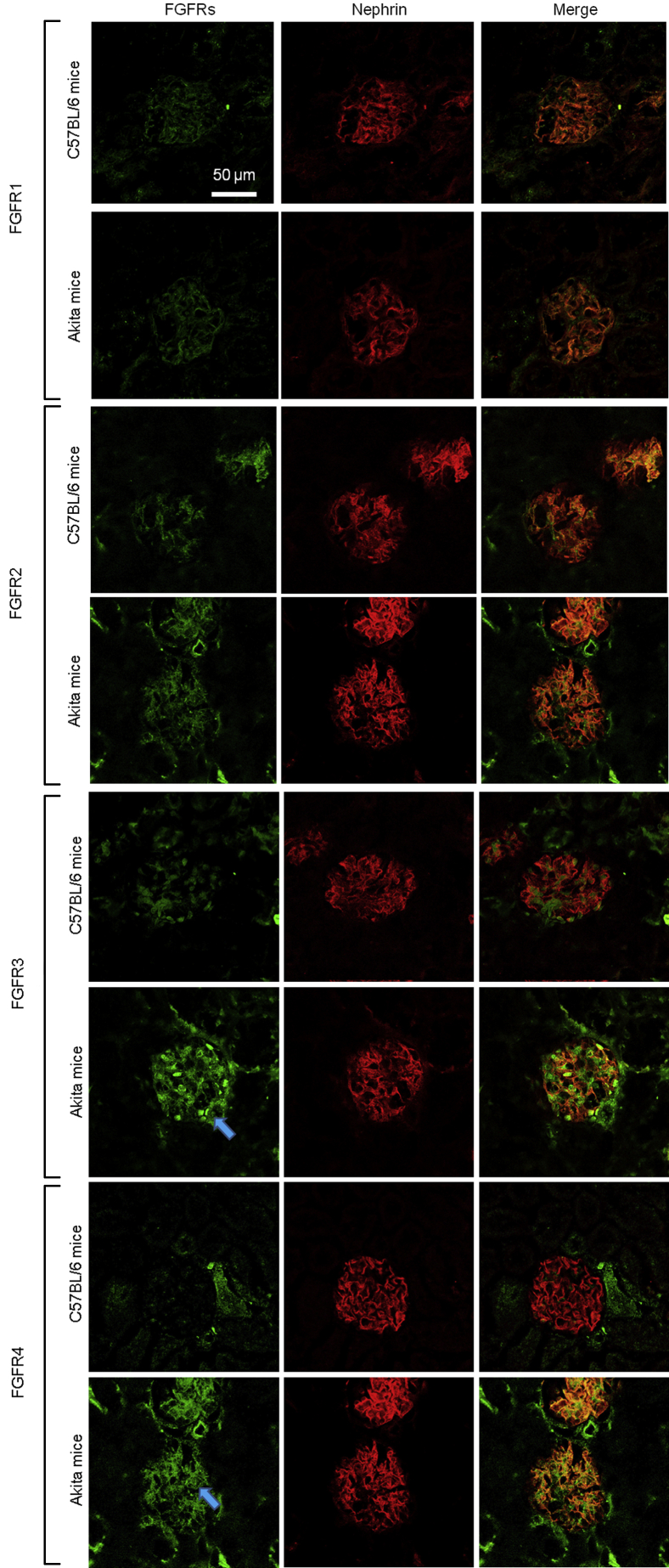 Figure 3