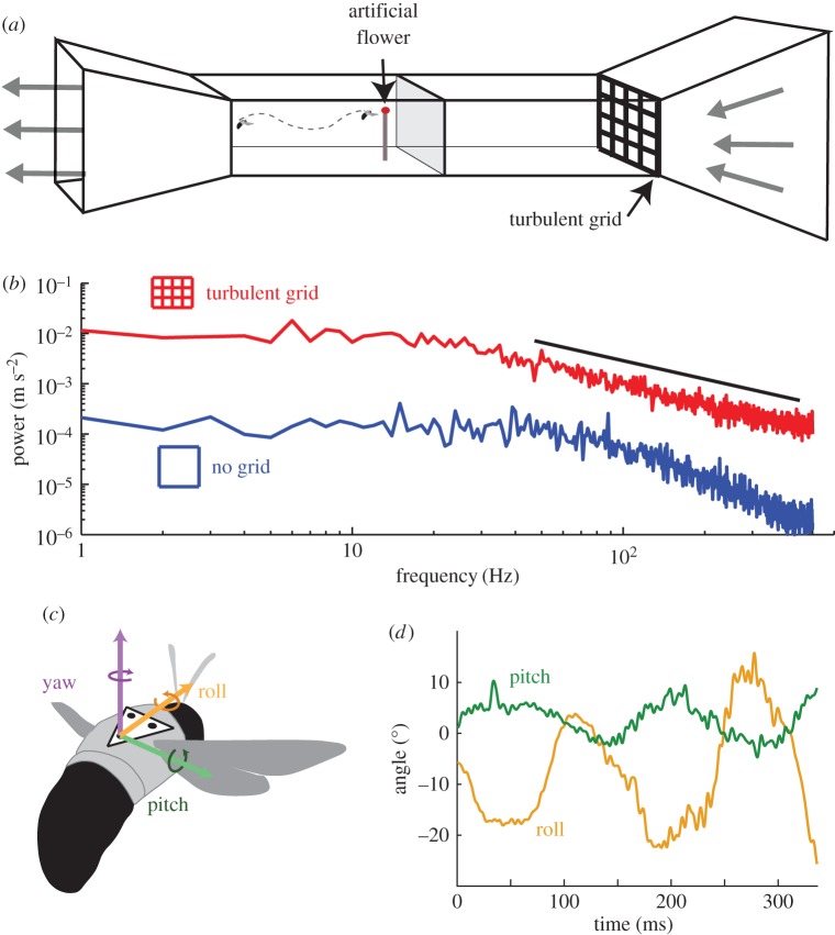 Figure 3.