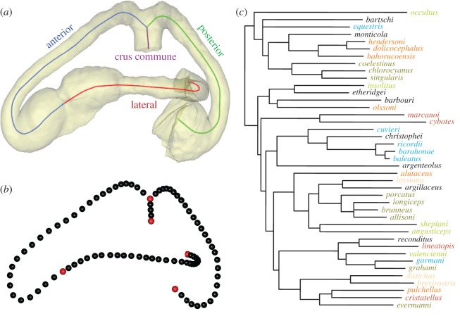 Figure 3.