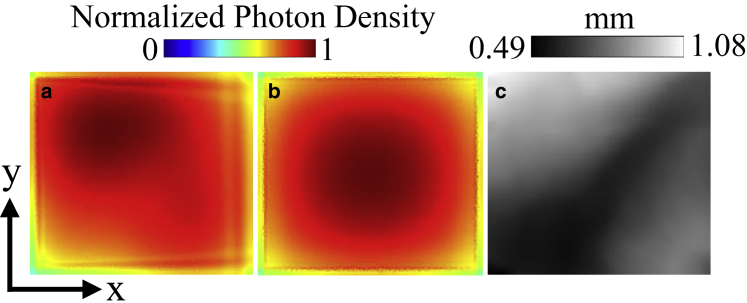 Figure 9