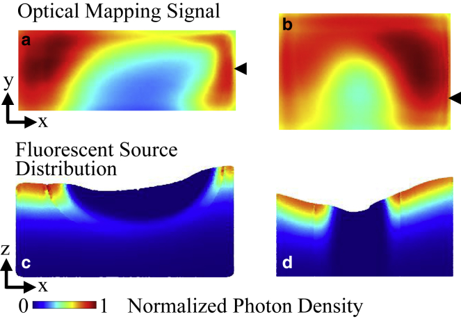 Figure 11