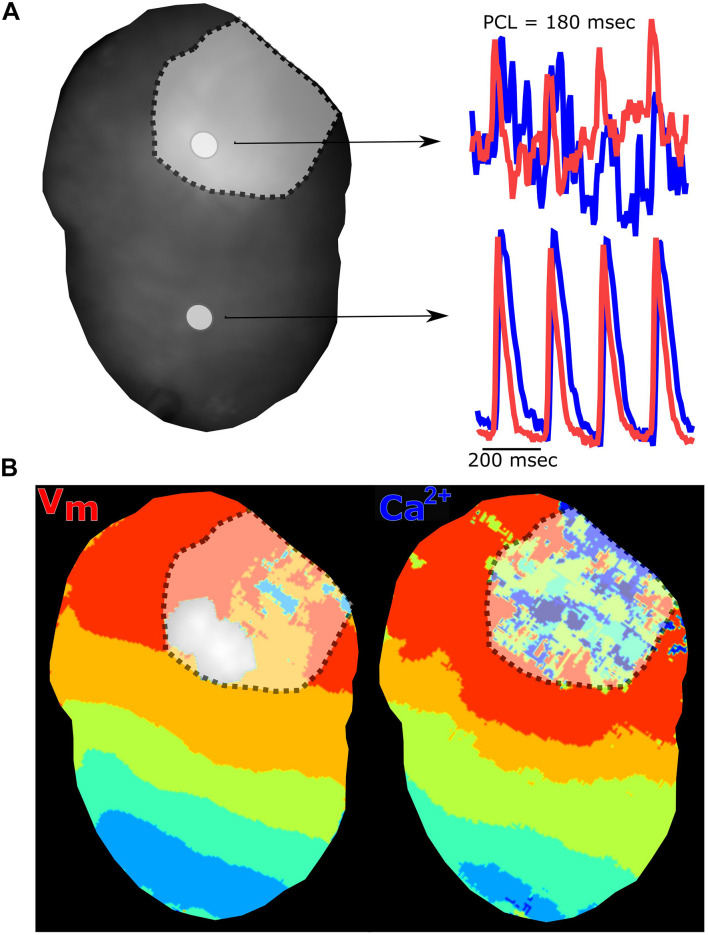 FIGURE 9