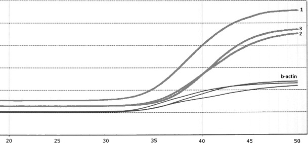 Fig. 3