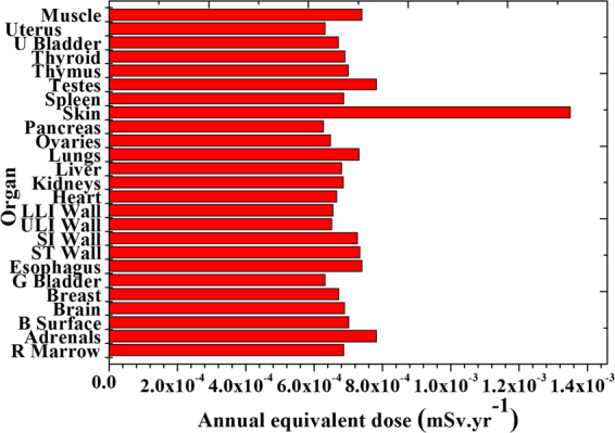 Figure 13