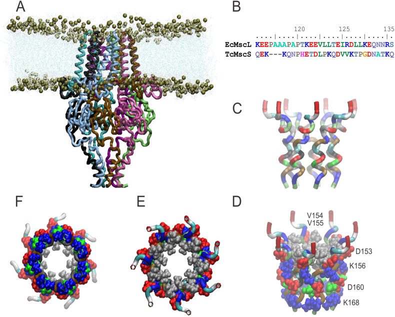 Figure 1—figure supplement 2.