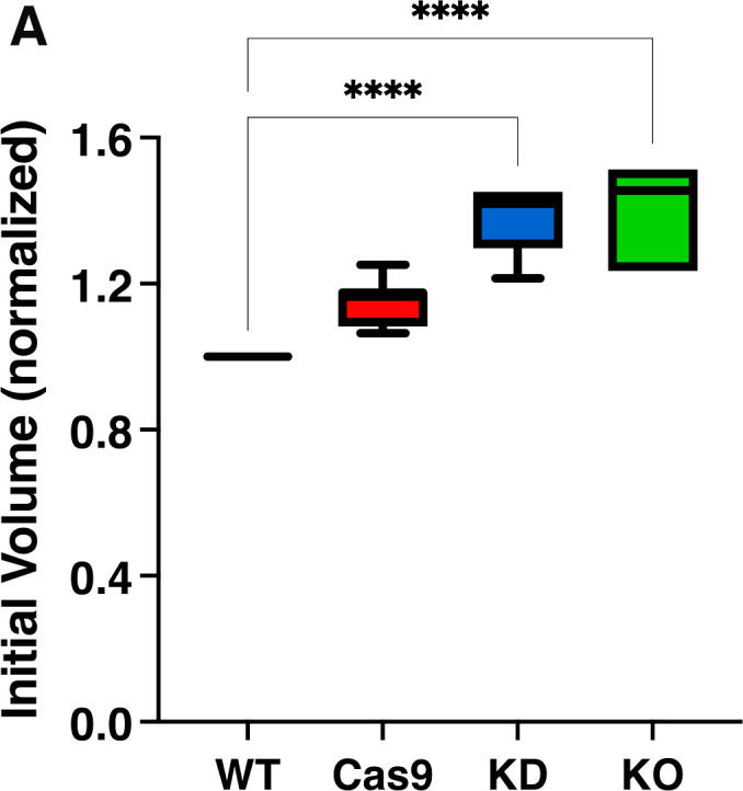 Figure 6—figure supplement 2.