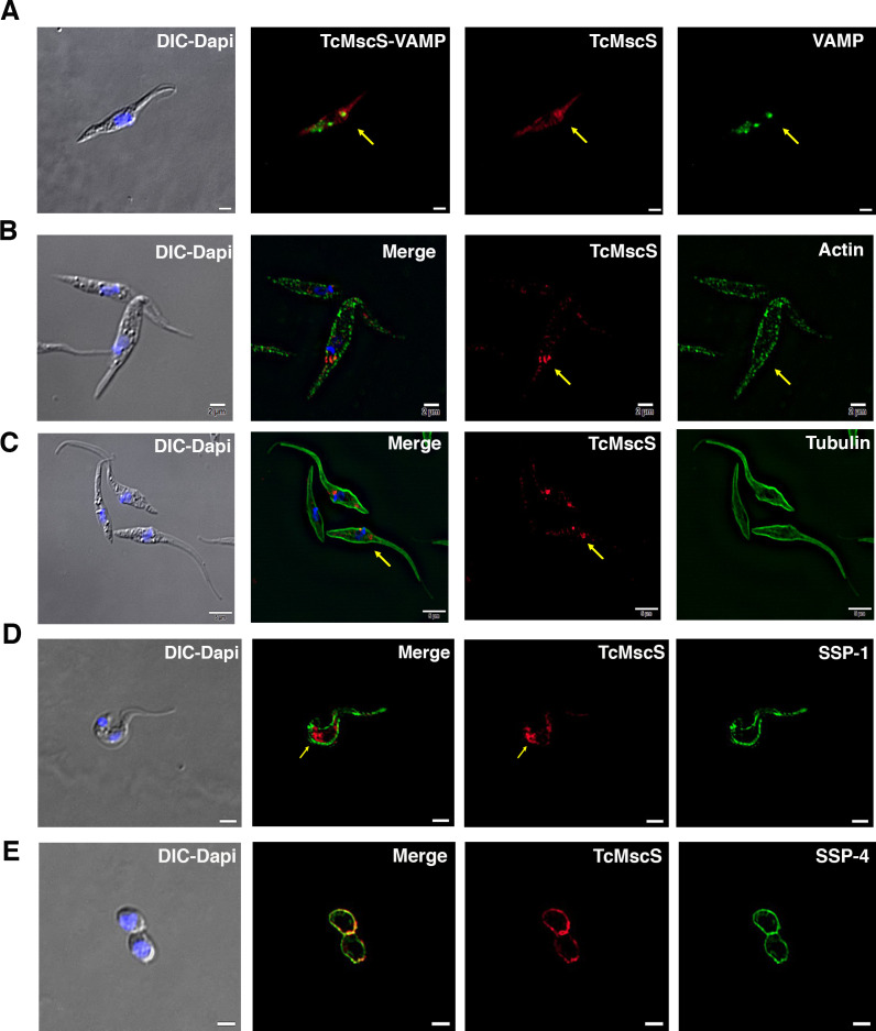 Figure 4.