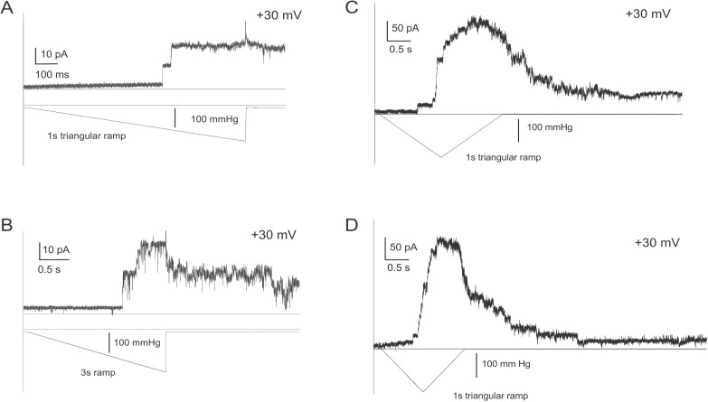 Figure 2—figure supplement 1.