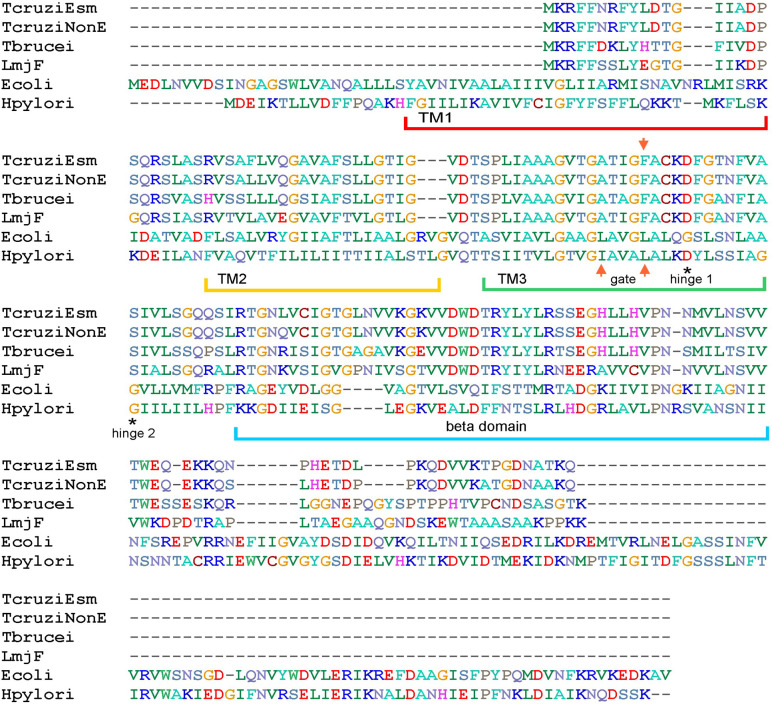 Figure 1—figure supplement 1.