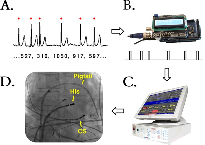 Fig 1