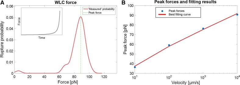 Fig. 2