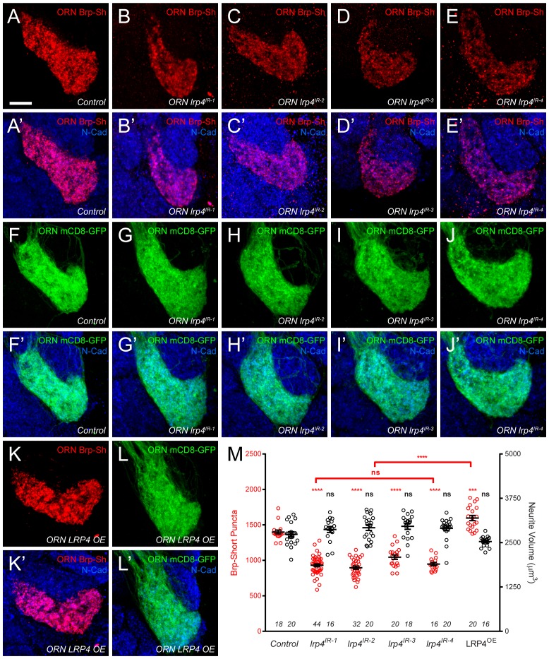 Figure 2—figure supplement 2.