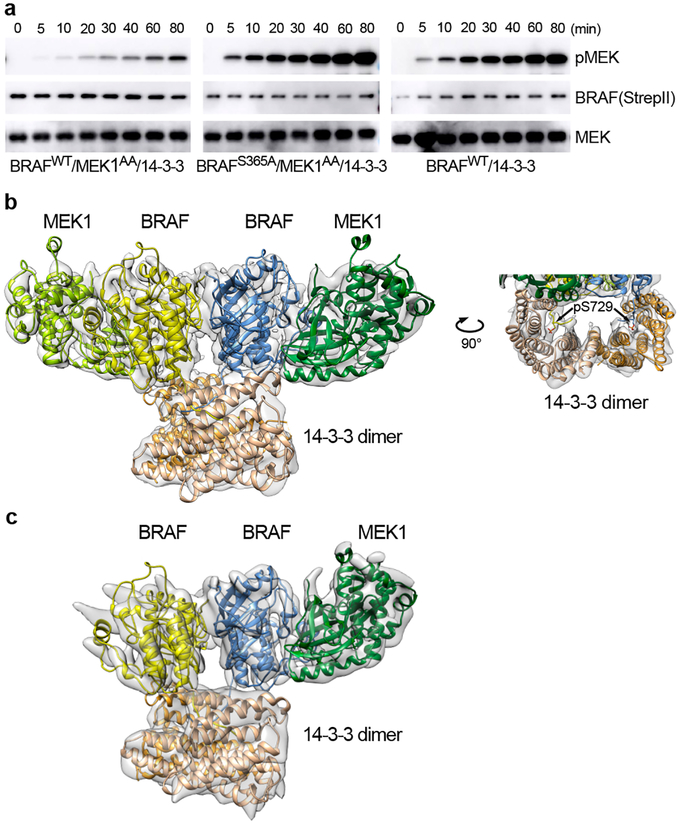 Figure 4.