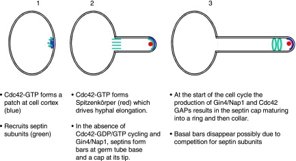 Figure 11.